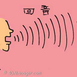 回声 echo