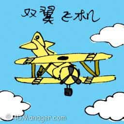 双翼飞机 biplane
