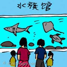 水族馆 aquarium