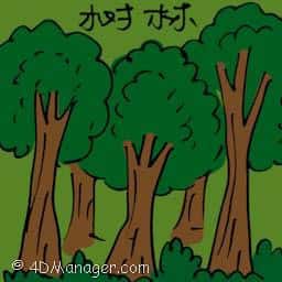 树林 jungle