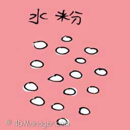 水粉 face powder