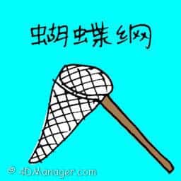蝴蝶网 butterfly net