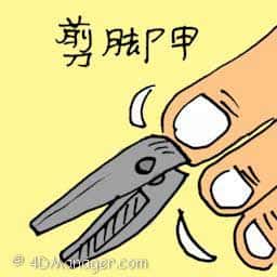 剪脚甲 cutting nails
