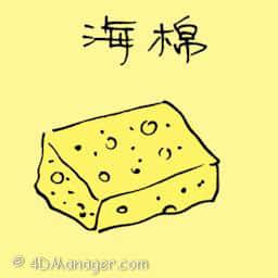 海绵 sponge
