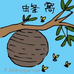 蜂窝 bee hive