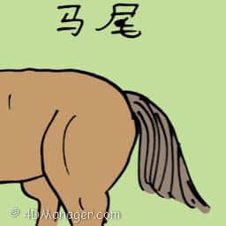 马尾 horse tail