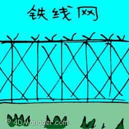 铁线网 wire mesh