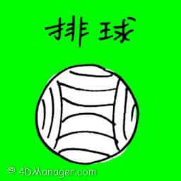 排球 volley ball