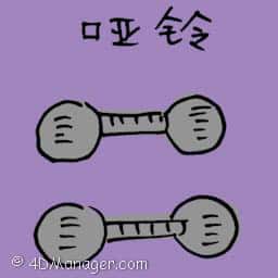 哑铃 dumbbells