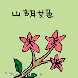 山胡姬 wild orchid