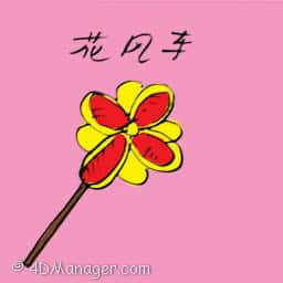 风车花 windmill flower