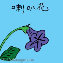 喇叭花 ipomoea nil