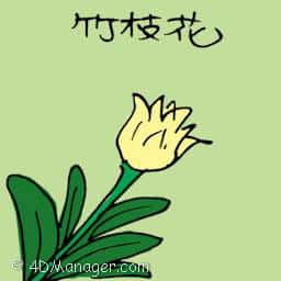 竹枝花 bamboo pole flower