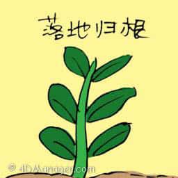 落地归根 root plant