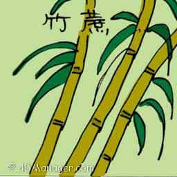 竹蔗 bamboo cane