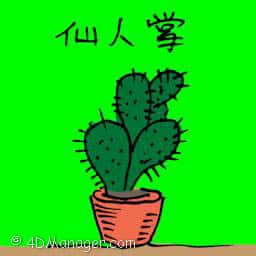 仙人掌 cactus