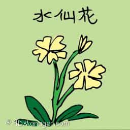 水仙 yellow narcissus flower