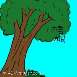 梧桐 big tree