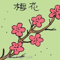梅花 plum blossom
