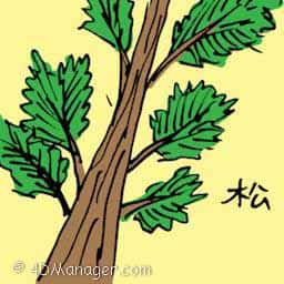 松 pine tree