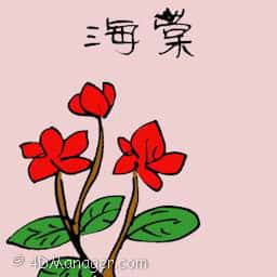 海棠 begonia flower