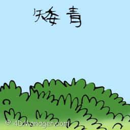 矮青 weed