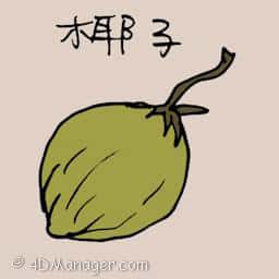 椰子 coconut