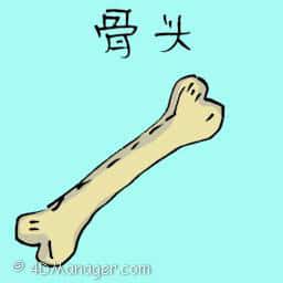 骨头 bone