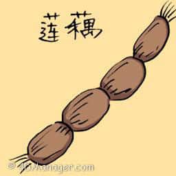 莲藕 lotus root