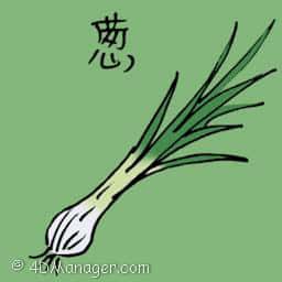 葱 scallion