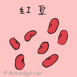 红豆 red bean