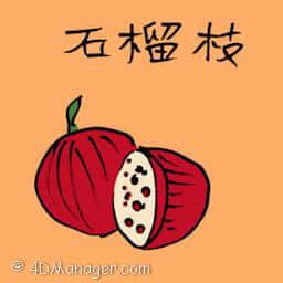 石榴果 pomegranate