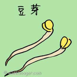 豆芽 beansprouts