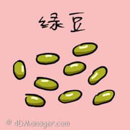 绿豆 green bean
