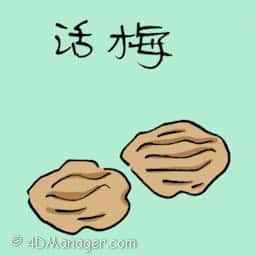 活梅,酸梅 sour plum