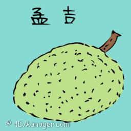 孟吉 jack fruit