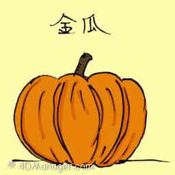 金瓜 pumpkin