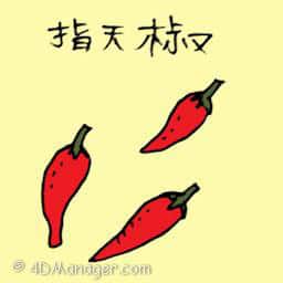 指天椒 small chilli