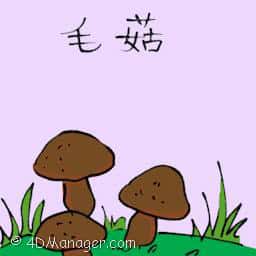 毛菇 small mushroom
