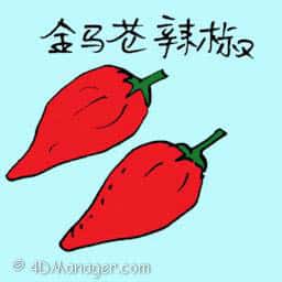 金马伦辣椒 cameron highlands chilli