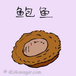 鲍鱼 abalone