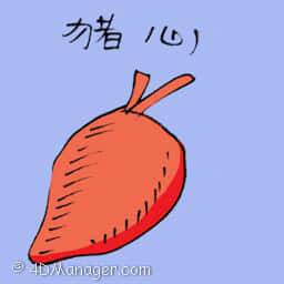 猪心 pork heart
