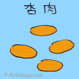 杏肉 preserved apricot