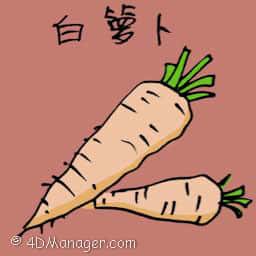 白萝卜 radish