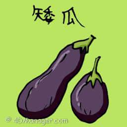 矮瓜 big eggplant