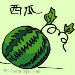 西瓜 water melon
