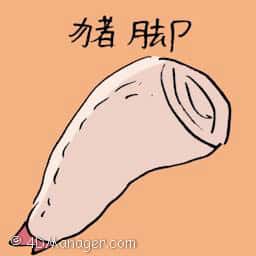 猪脚 pork knuckle
