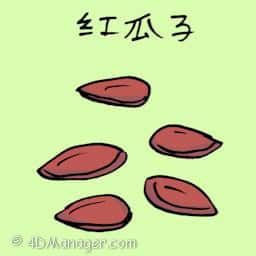 红瓜子 red melon seeds