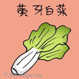 黄牙白菜 white cabbage