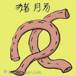 猪肠 pork intestines